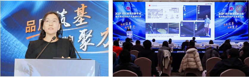 ƹǣůã2025֯װ߹޲ҵչԲ